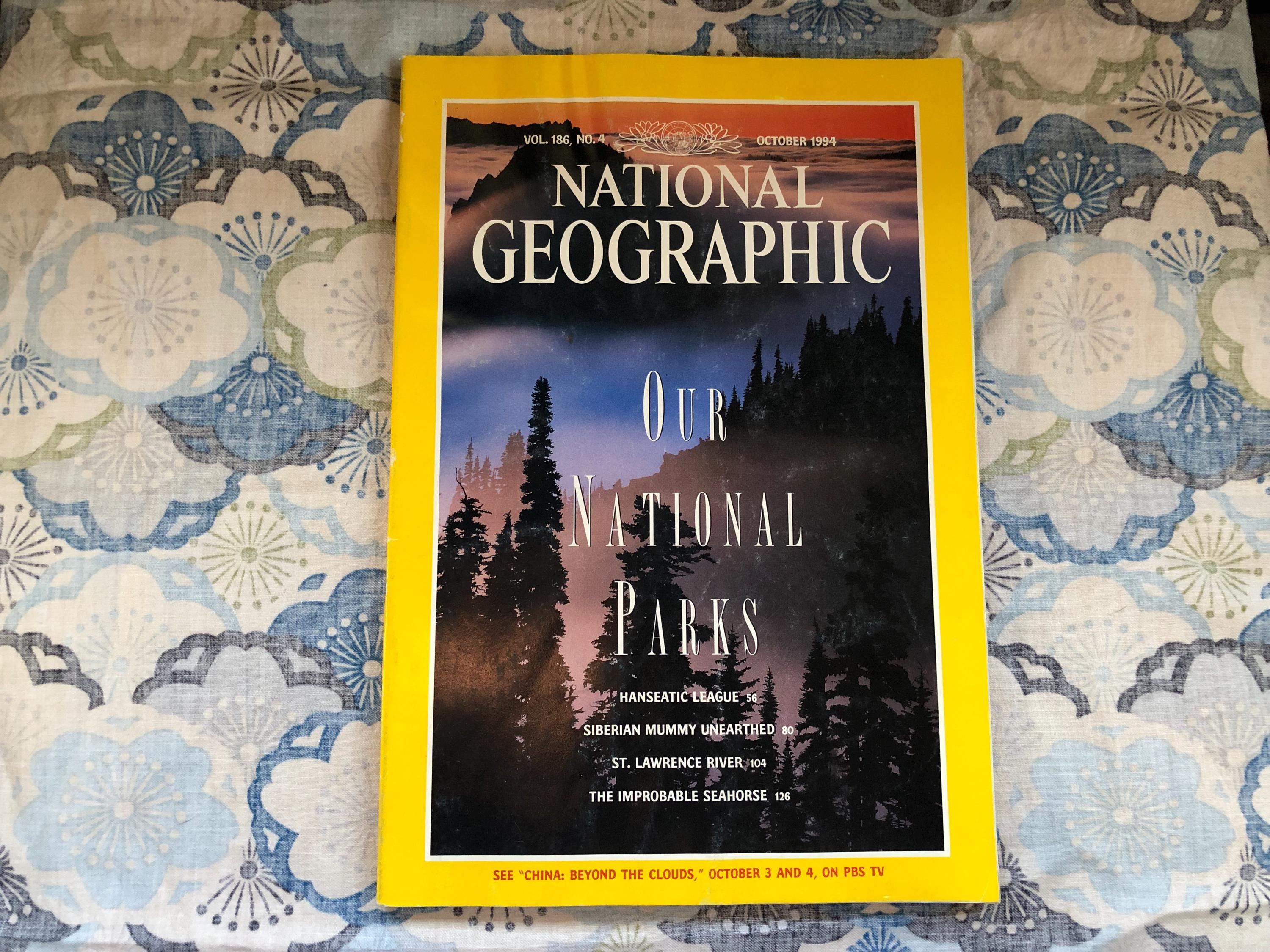 National Geographic Magazines 1994 - Etsy