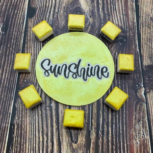 Sunshine Yellow Chameleon Individual Half Pan Handmade Watercolor