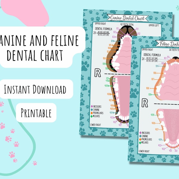 DIGITAL DOWNLOAD, Canine AND Feline Dental Chart, Printable, Poster, Reference Card, Study, Vet, Veterinary