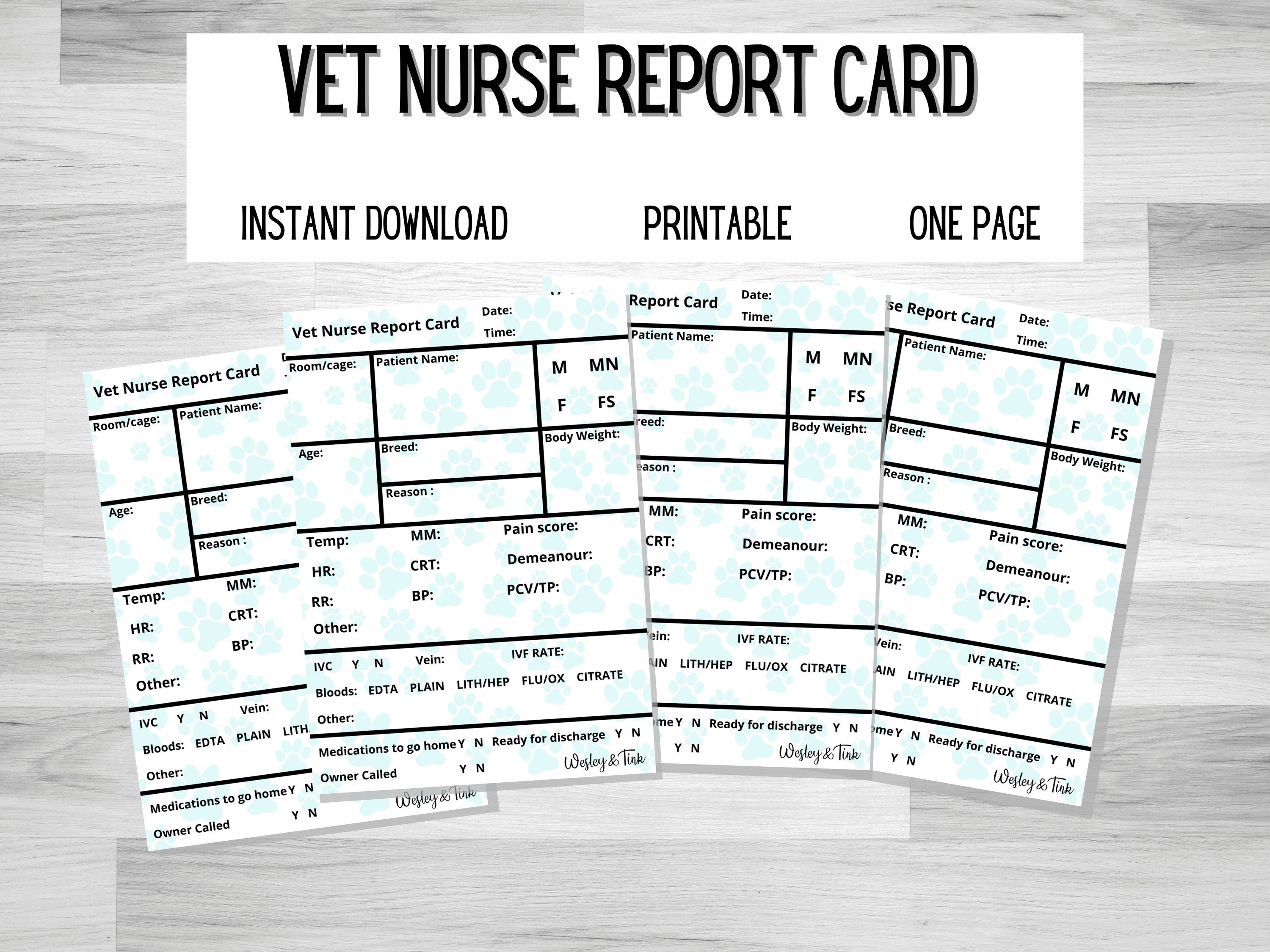 DIGITAL DOWNLOAD Vet Nurse Report Card TPR Assessment Etsy Israel