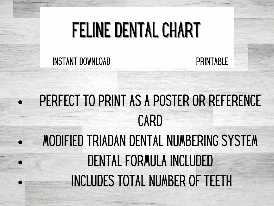 DIGITAL DOWNLOAD Feline Dental Chart Printable Poster | Etsy