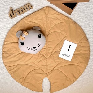 Conjunto de mantas de hitos para bebés, nuevo regalo para bebés, regalo de baby shower, regalo para recién nacidos