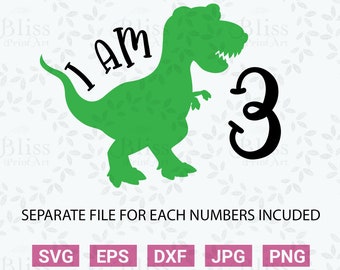 Free SVG 6Th Birthday Svg Boy 11842+ File