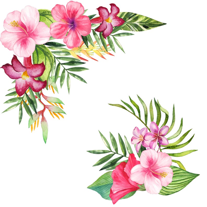 Watercolor Tropical Flowers Clipart Pink Clip Art Hibiscus Etsy