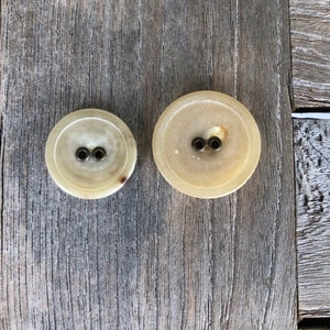 May include: Two round, cream-colored buttons with two holes each. The buttons are made of a smooth, shiny material and have a slightly raised edge.