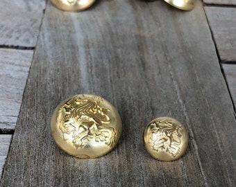 5 Stück goud gewölbte Metallknöpfe met Löwe Motiv 15mm of 23mm