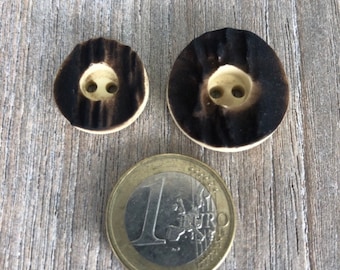 10 Stück Kunststoff dunkel braun 2 Loch Hirschhorn-Optik 18mm oder 23mm