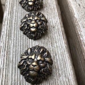 Può includere: Tre pomelli decorativi a forma di testa di leone dorati con dettagli precisi. Le teste di leone sono rivolte in avanti con una criniera di capelli intorno alla testa. I pomelli sono su una superficie di legno.