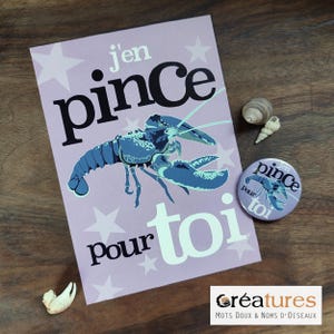 Lot spécial Amoureux Saint Valentin J'en Pince Pour Toi Carte Postale et Badge