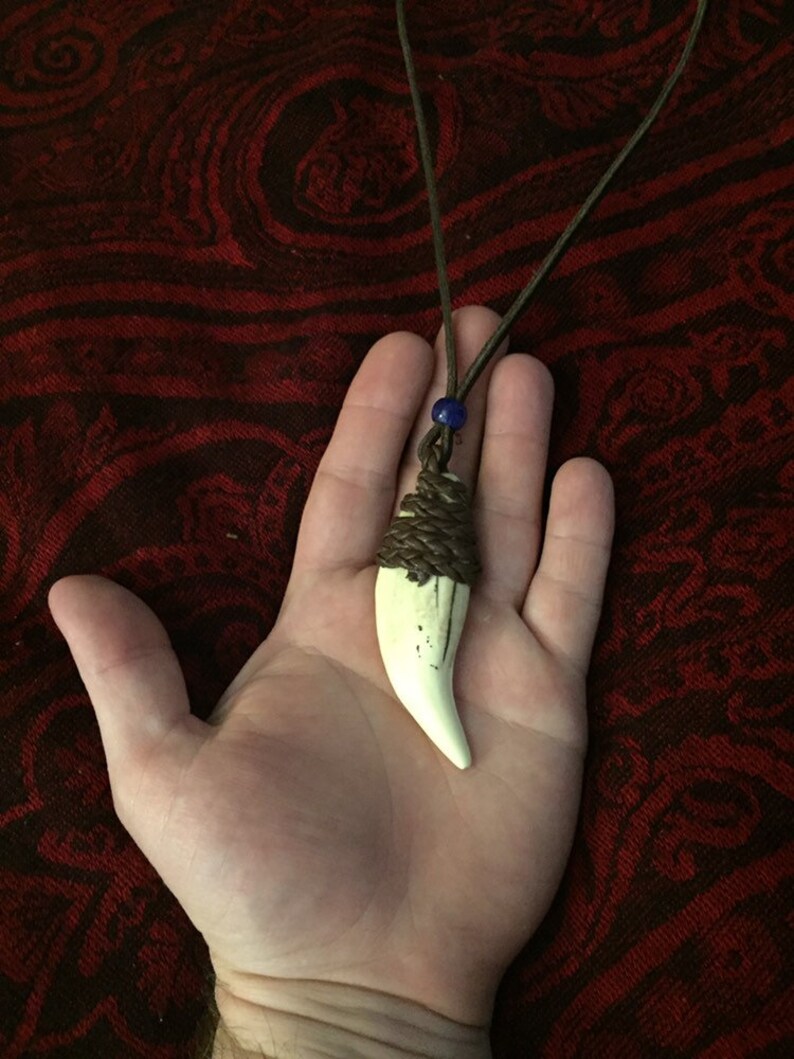 Bear fang necklace synthetic bear tooth tooth/bone amulet Etsy