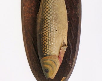 Antique Fishing Trophy papier mache Hanging Trout Fish in a wooden base. Collectible