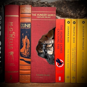 Könnte beinhalten: Ein Bücherregal mit einer Sammlung von Büchern, darunter die "Hunger Games"-Trilogie, "Dune" und Werke von H.G. Wells. Das "Hunger Games"-Buch hat einen einzigartigen Ausschnitt mit einer Figur, die einen Bogen hält. Die Buchrücken sind rot und gelb.