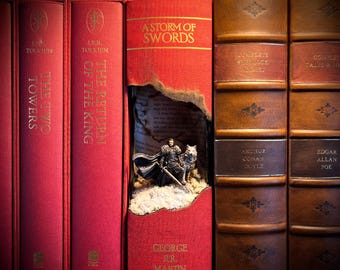 Handmade Game of Thrones Book Nook – Jon Snow & Ghost Bookshelf Insert