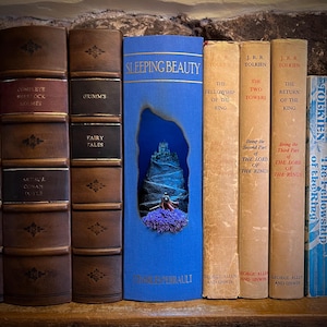 May include: A collection of vintage books on a wooden shelf. Titles include "Sleeping Beauty," "The Fellowship of the Ring," and "The Return of the King." The "Sleeping Beauty" book has a carved-out scene of a castle. The books are various shades of brown, blue, and beige.