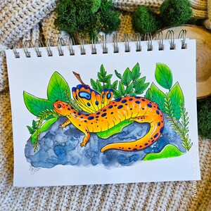Toby the Orange Salamander Fairy ORIGINAL ART, Hand Drawn, Salamander Art, Salamander Gifts