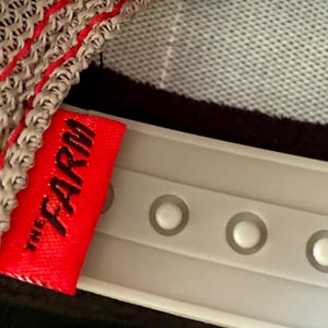 May include: Close-up of a baseball cap's interior. The cap features a gray mesh design with red stitching along the edges. A red tag with the text "THE FARM" in black is attached to the cap. The adjustable strap is white.