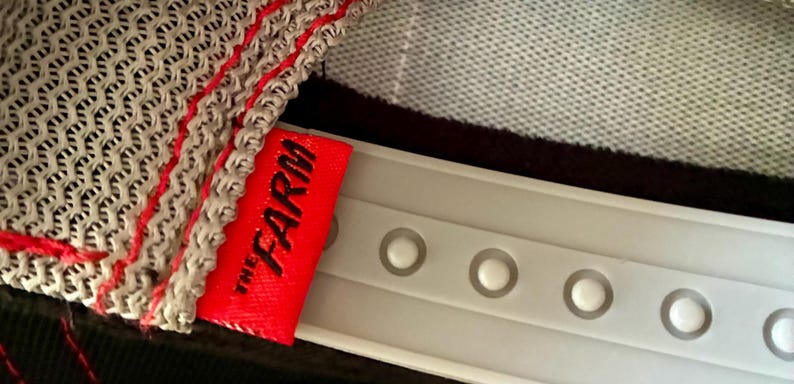 May include: Close-up of a baseball cap's interior. The cap features a gray mesh design with red stitching along the edges. A red tag with the text "THE FARM" in black is attached to the cap. The adjustable strap is white.