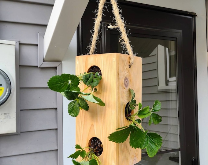 Green Hanging Strawberry Pot Hanging Planter Flower Pot Etsy