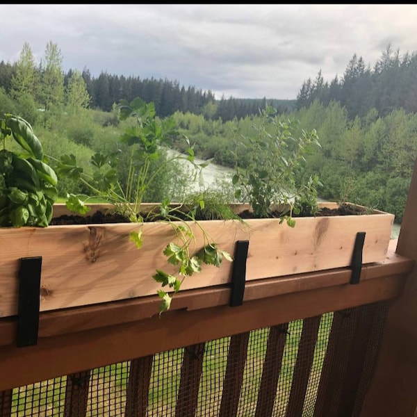 Rail Planter Box Etsy