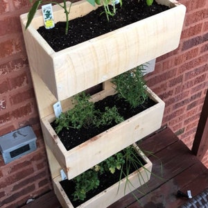 Vertical CEDAR Wall Garden, Sustainable,4 Sizes!