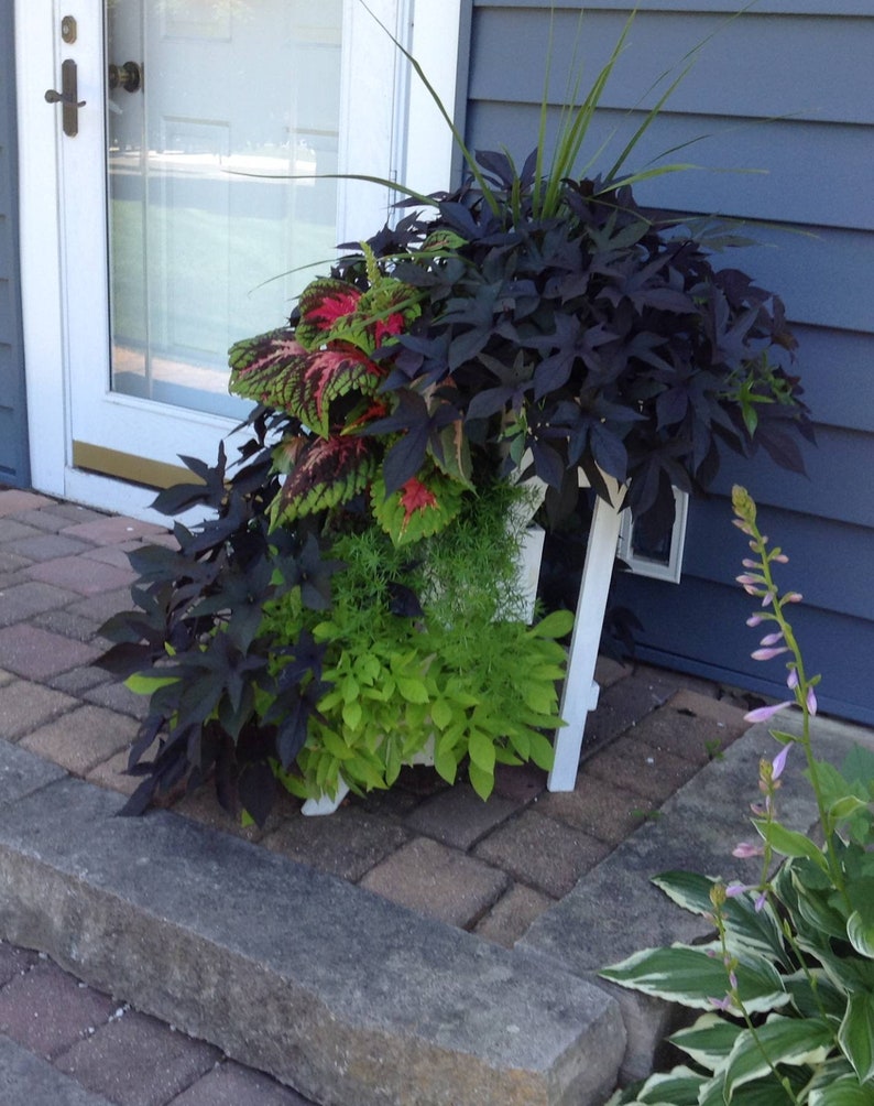 3 or 4 Tier Cedar Planter