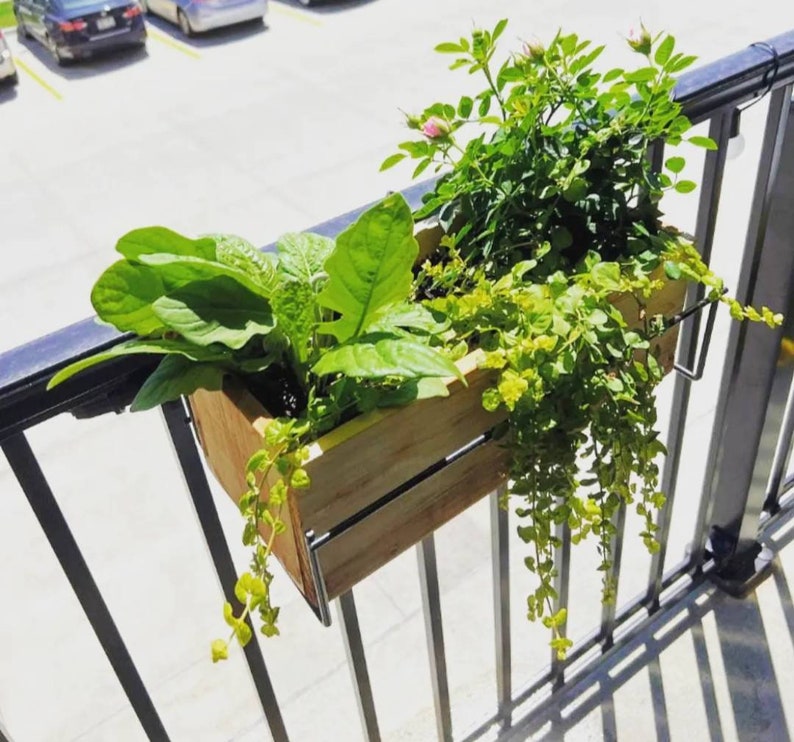 CEDAR Railing Planter, Option of Hangers for Rails Up to 2 Inches Wide message for other sizes image 8