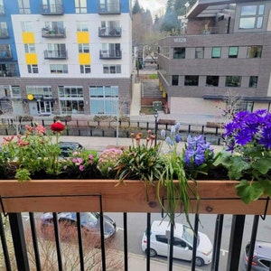 May include: A wooden planter box with a black metal frame is mounted on a black metal railing. The planter box is filled with a variety of colorful flowers, including purple, blue, red, and white. The planter box is located on a balcony overlooking a city street.