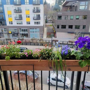 CEDAR Railing Planter, Option of Hangers for Rails Up to 2 Inches Wide message for other sizes image 3