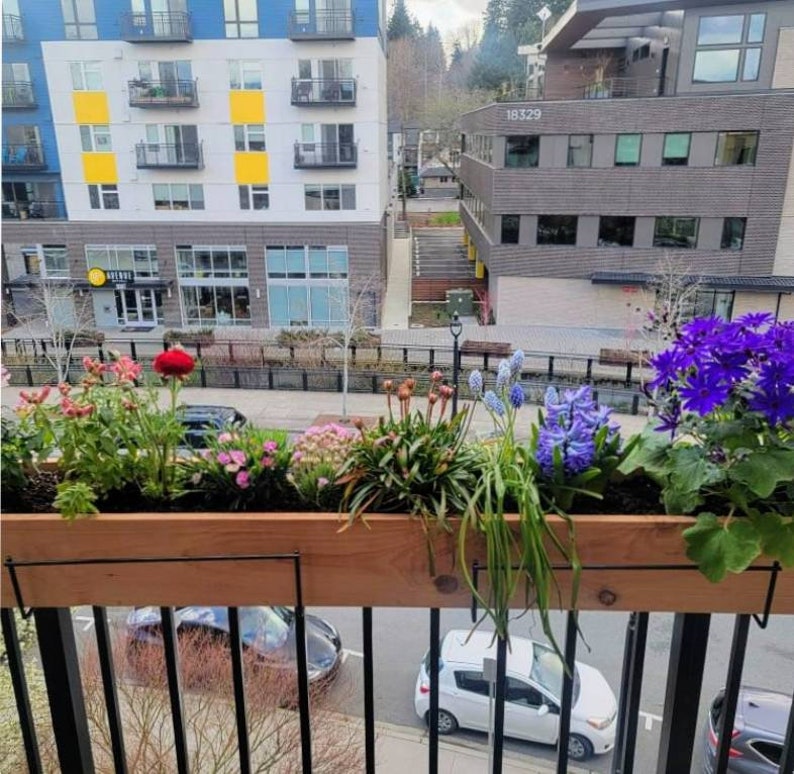 May include: A wooden planter box with a black metal frame is mounted on a black metal railing. The planter box is filled with a variety of colorful flowers, including purple, blue, red, and white. The planter box is located on a balcony overlooking a city street.