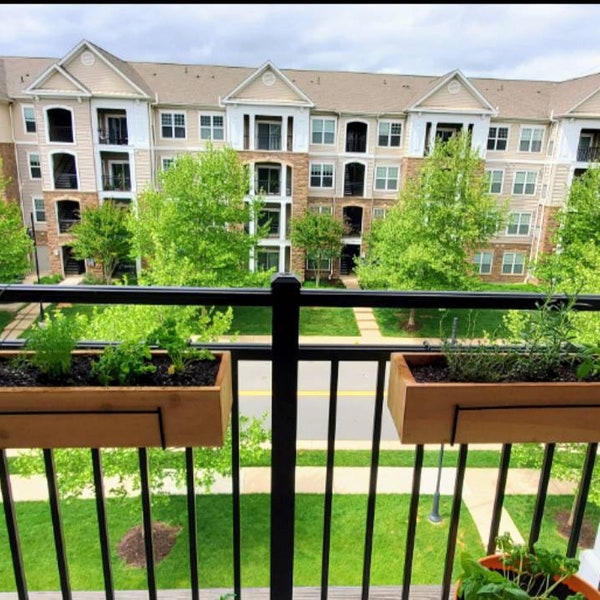 Jardinera de cedro con barandilla: Decoración para balcones y terrazas (barandillas de hasta 5 cm. Consultar para otros tamaños).