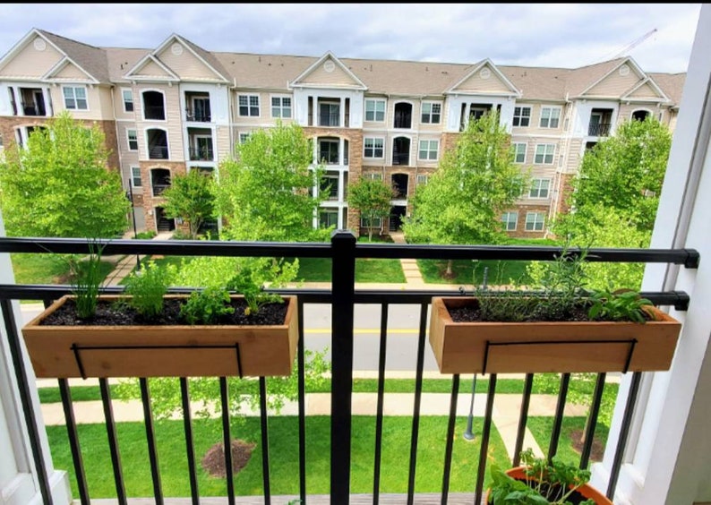 May include: Two wooden planter boxes with metal brackets are mounted on a black metal railing. The planters are filled with green plants and herbs. The planters are hanging over a balcony overlooking a residential building.