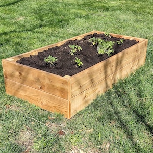 May include: A wooden raised garden bed with dark soil and several small green plants growing in it. The bed is made of natural wood planks and is sitting on a green lawn.
