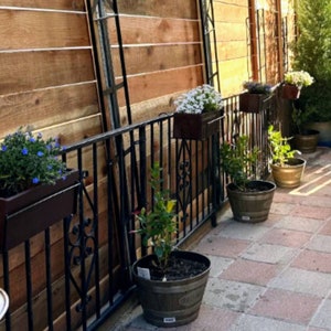 May include: A black metal railing with several potted plants. The plants are in various sizes and shapes, and some have flowers. The railing is in front of a wooden fence.