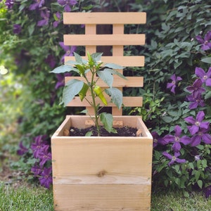 Cedar Planter Box with Trellis for Root and Climbing Vegetables