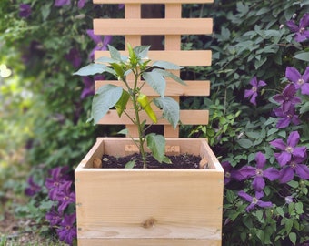 Cedar Planter Box with Trellis for Root and Climbing Vegetables