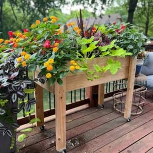May include: A wooden raised garden bed with wheels, filled with colorful flowers. The bed is made of natural wood and has a rustic look. The flowers are in full bloom and add a touch of color to the garden.