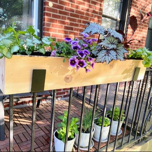 May include: A wooden planter box with black metal brackets, mounted on a black metal railing. The planter is filled with purple flowers and green foliage.