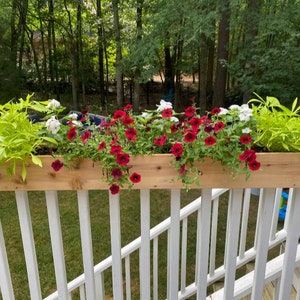 CEDAR Rail Top Planters (Note Rail Width on Order)