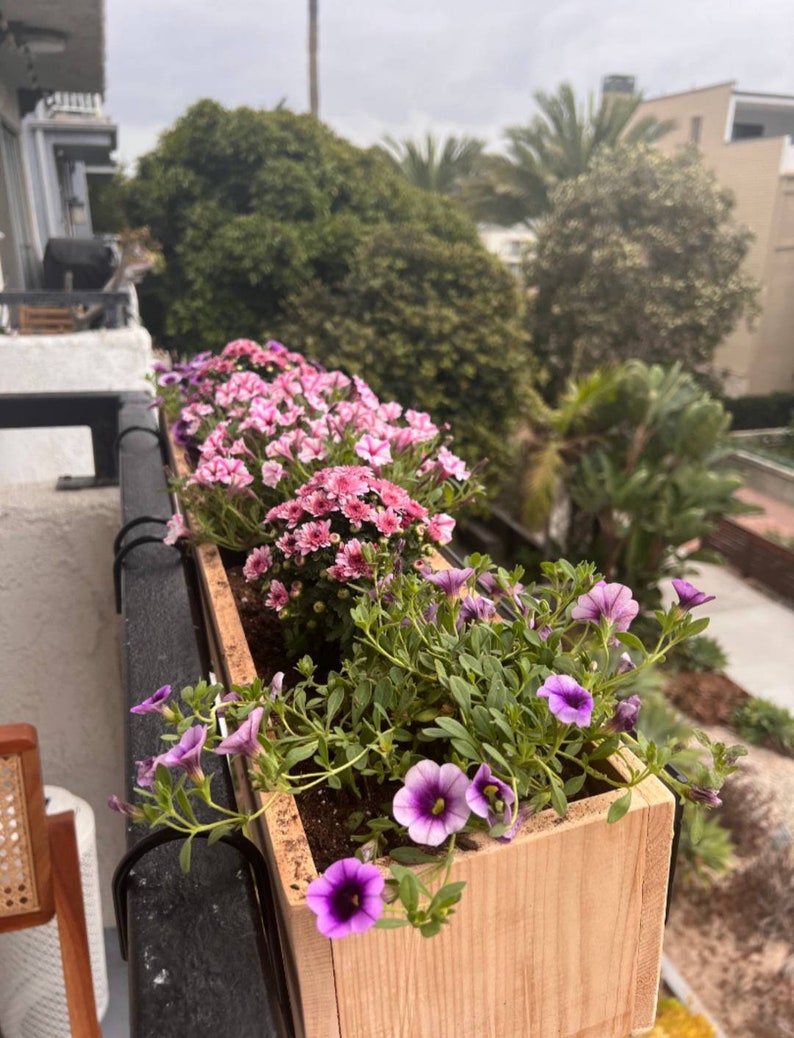 May include: A wooden planter box with pink and purple flowers. The planter is mounted on a black railing and is filled with soil. The flowers are in bloom and are growing in a variety of colors.