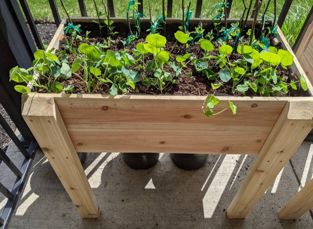 Caja de jardín CEDAR elevada | Etsy