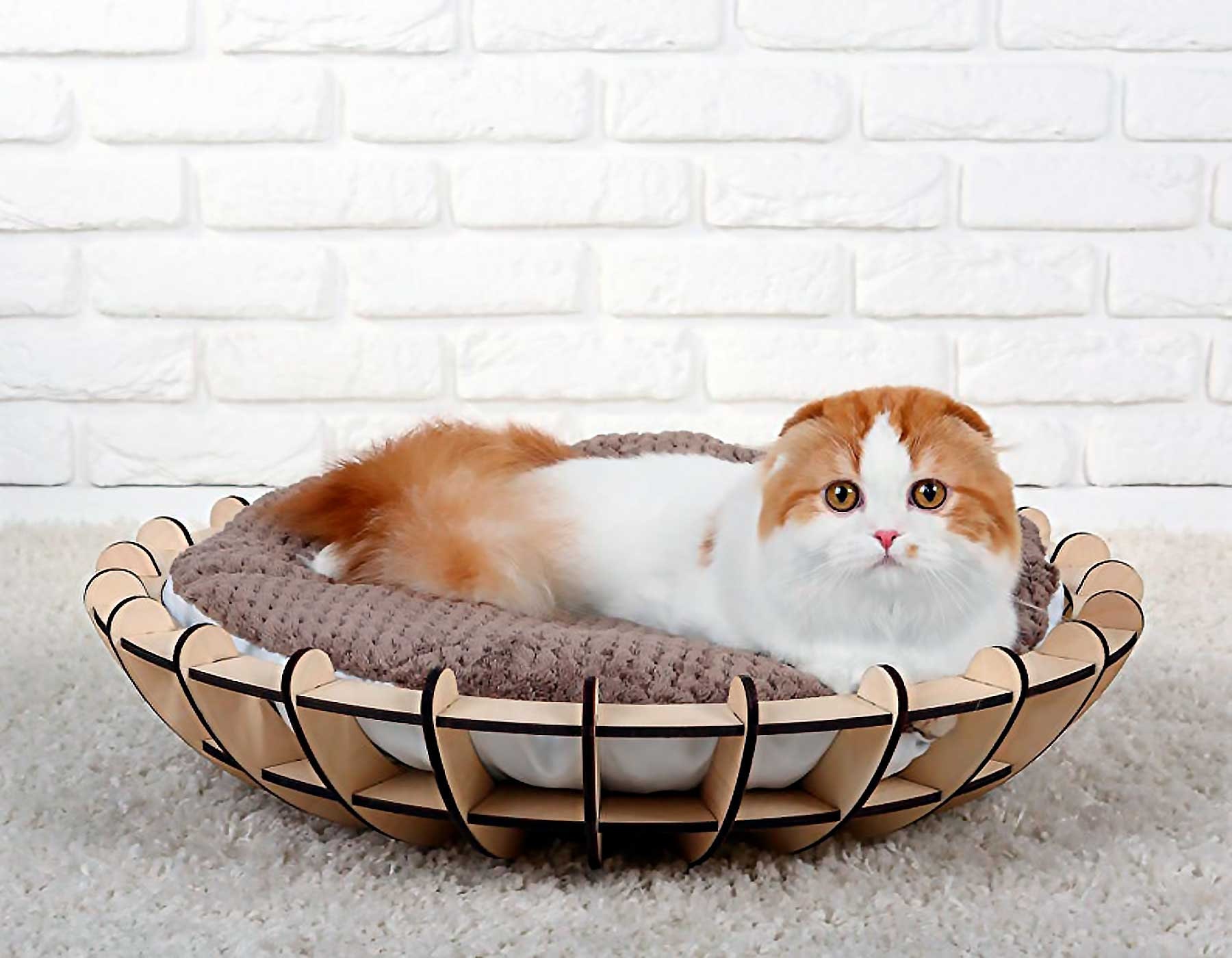 unique cat beds