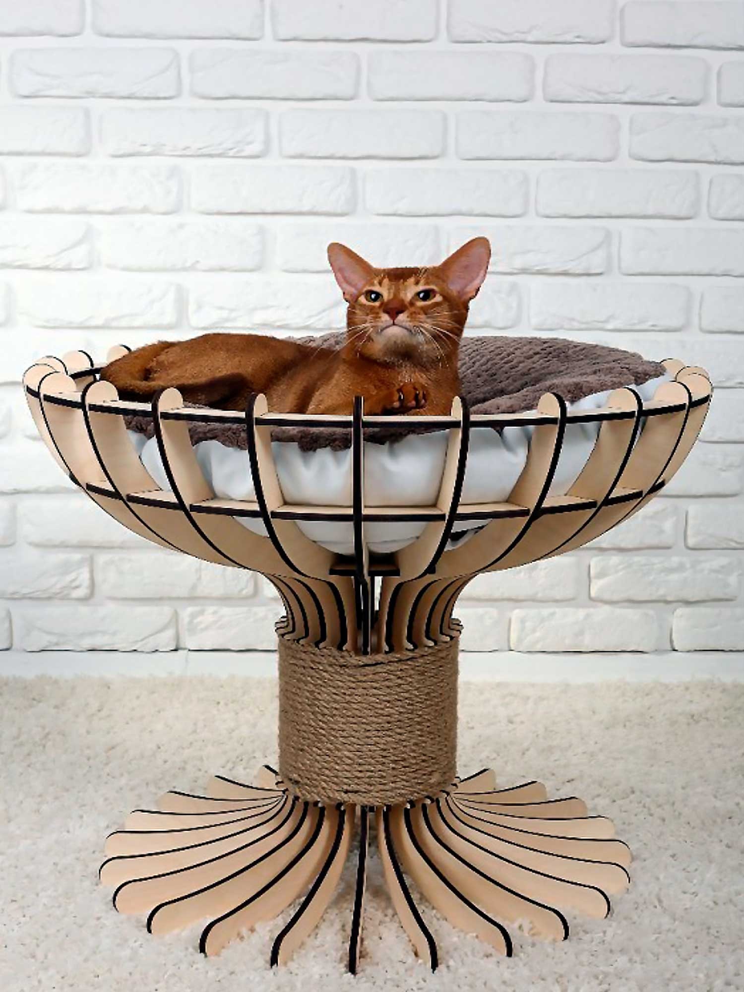 designer cat beds