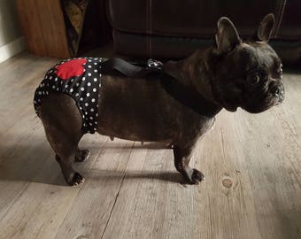 Culotte pour chien BETTY