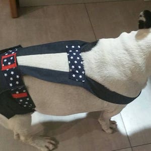 Puede incluir: Un bulldog francés blanco y negro con un pañal para perros azul marino con estrellas blancas y detalles rojos. El pañal tiene correas ajustables y está diseñado para mayor comodidad y seguridad. El perro está de pie sobre un suelo embaldosado.