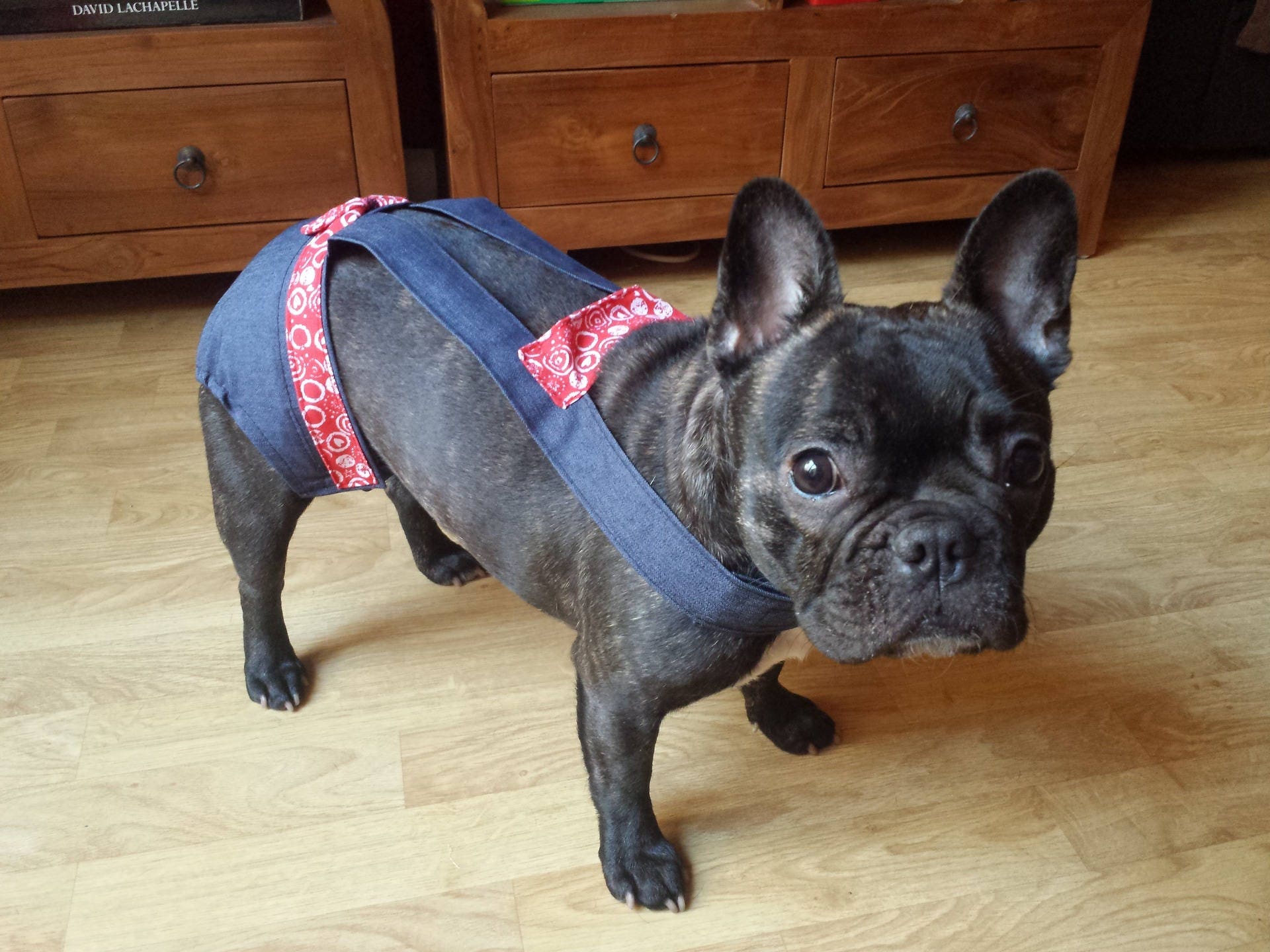 Culotte Pour Chien Bandana Jeans