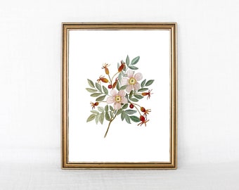 Soft Floral Botanical Print, Watercolor Art Print, Botanical Wall Art, Modern Home Decor, Floral Wall Art, Watercolor Print, Feminine Art