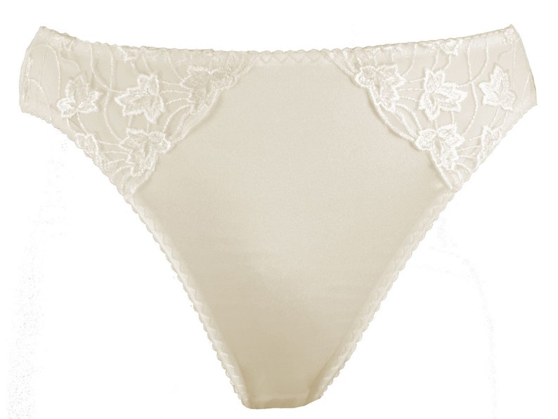 Premier Lingerie 'Silhouette Collection' Cascade Floral Lace Brief Knickers 3104 image 6