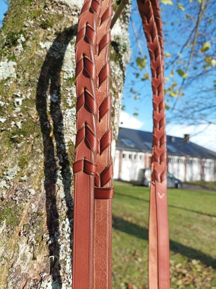 Bridon et Rênes Bredies