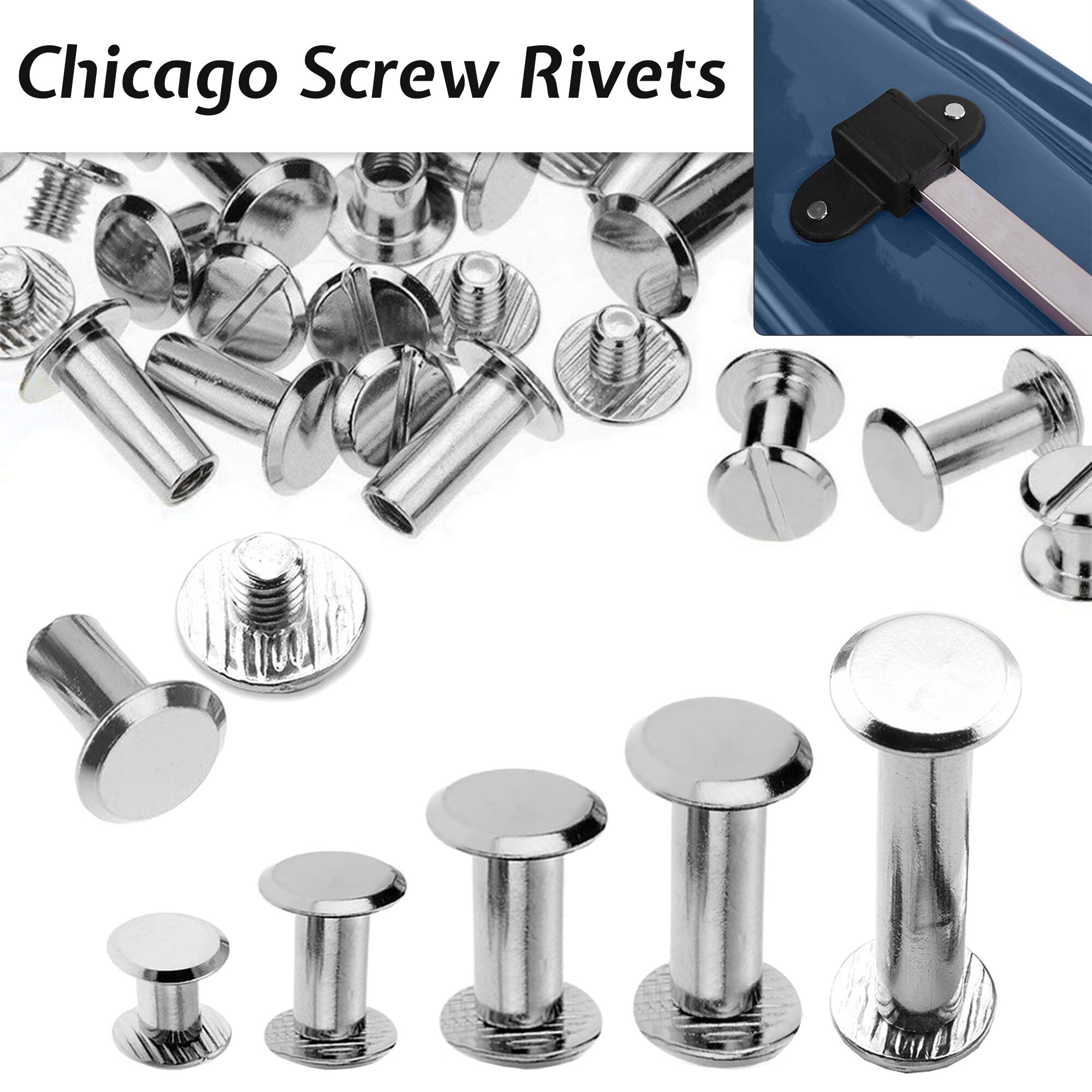 Stainless Steel Chicago Screw Rivets Multiple Sizes Easy Install No Tools  Required Perfect for Tags 4 