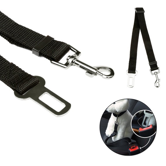 CINTURÓN SEGURIDAD PARA PERRO GATO CORREA AJUSTABLE NYLON Y ACERO ASIENTO COCHE